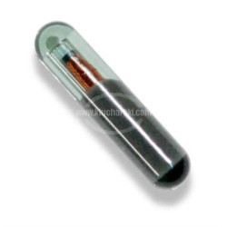 8E SOKYMAT CRYPTO CHIP