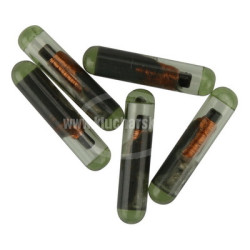 CN6 transponder chip ID48